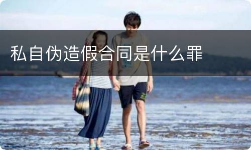 私自伪造假合同是什么罪