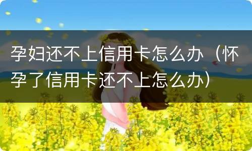 孕妇还不上信用卡怎么办（怀孕了信用卡还不上怎么办）