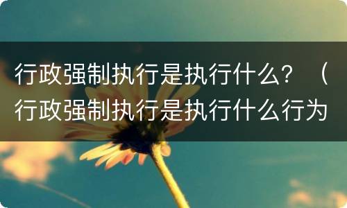 行政强制执行是执行什么？（行政强制执行是执行什么行为）