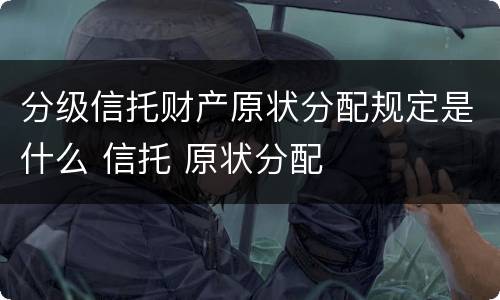 分级信托财产原状分配规定是什么 信托 原状分配