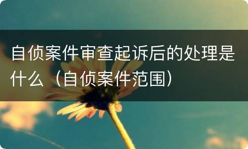 自侦案件审查起诉后的处理是什么（自侦案件范围）
