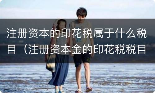 注册资本的印花税属于什么税目（注册资本金的印花税税目）