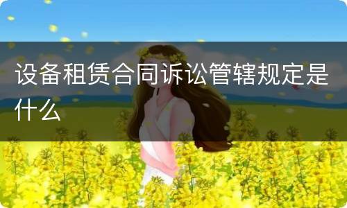 设备租赁合同诉讼管辖规定是什么