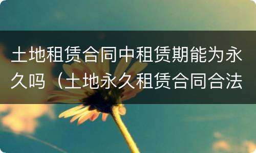 土地租赁合同中租赁期能为永久吗（土地永久租赁合同合法吗）