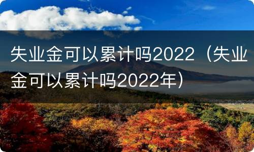 失业金可以累计吗2022（失业金可以累计吗2022年）