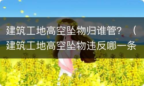 建筑工地高空坠物归谁管？（建筑工地高空坠物违反哪一条）