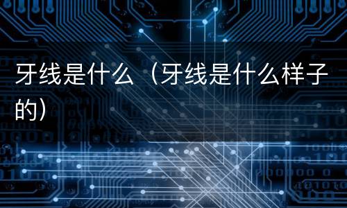 牙线是什么（牙线是什么样子的）
