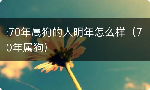 :70年属狗的人明年怎么样（70年属狗）