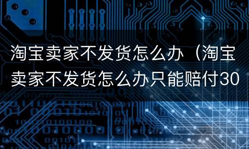 淘宝卖家不发货怎么办（淘宝卖家不发货怎么办只能赔付30%吗）