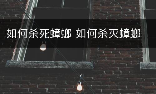 如何杀死蟑螂 如何杀灭蟑螂