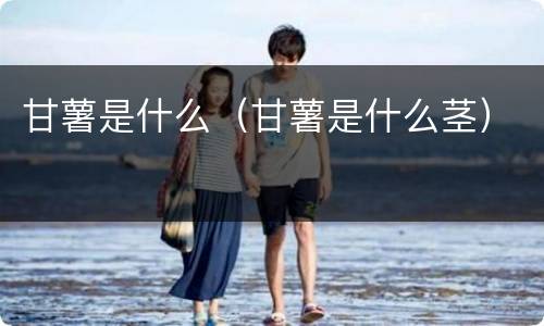 甘薯是什么（甘薯是什么茎）