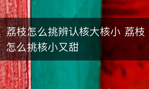 荔枝怎么挑辨认核大核小 荔枝怎么挑核小又甜
