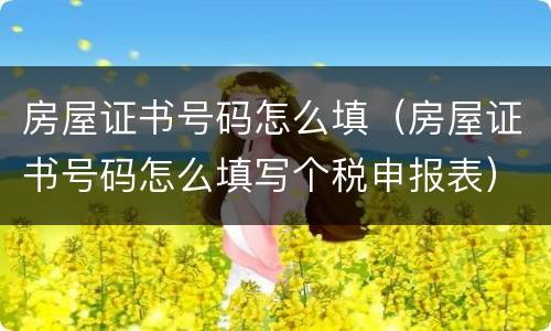 房屋证书号码怎么填（房屋证书号码怎么填写个税申报表）
