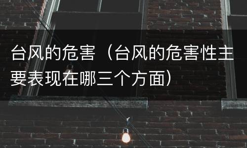 台风的危害（台风的危害性主要表现在哪三个方面）
