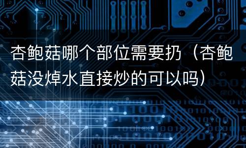 杏鲍菇哪个部位需要扔（杏鲍菇没焯水直接炒的可以吗）