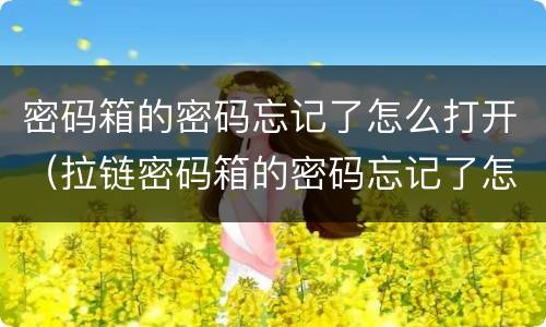 密码箱的密码忘记了怎么打开（拉链密码箱的密码忘记了怎么打开）
