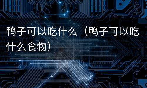 鸭子可以吃什么（鸭子可以吃什么食物）