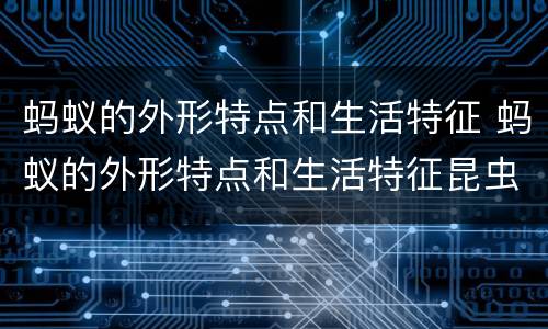 蚂蚁的外形特点和生活特征 蚂蚁的外形特点和生活特征昆虫记