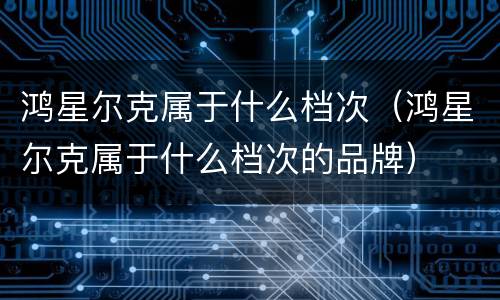 鸿星尔克属于什么档次（鸿星尔克属于什么档次的品牌）