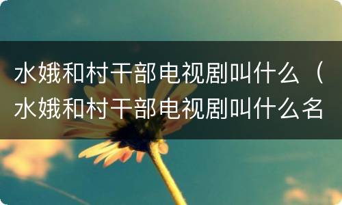 水娥和村干部电视剧叫什么（水娥和村干部电视剧叫什么名字）