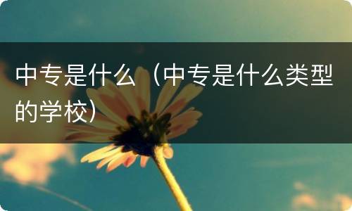中专是什么（中专是什么类型的学校）