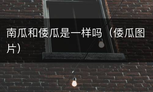 南瓜和倭瓜是一样吗（倭瓜图片）