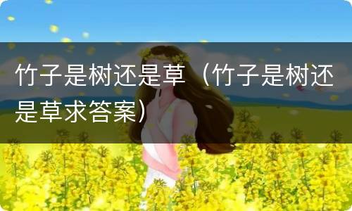 竹子是树还是草（竹子是树还是草求答案）