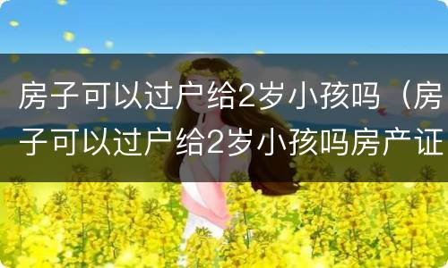 房子可以过户给2岁小孩吗（房子可以过户给2岁小孩吗房产证就写小孩）