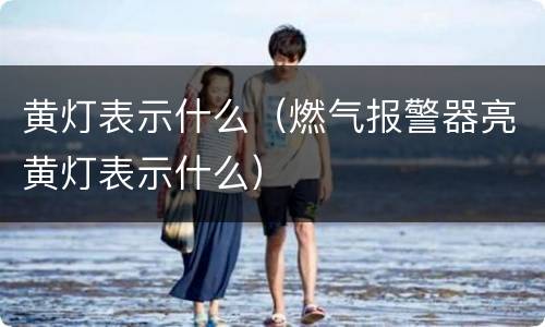 黄灯表示什么（燃气报警器亮黄灯表示什么）