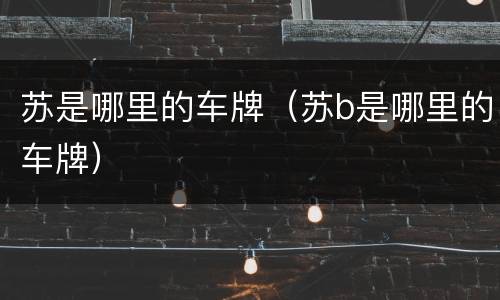 苏是哪里的车牌（苏b是哪里的车牌）