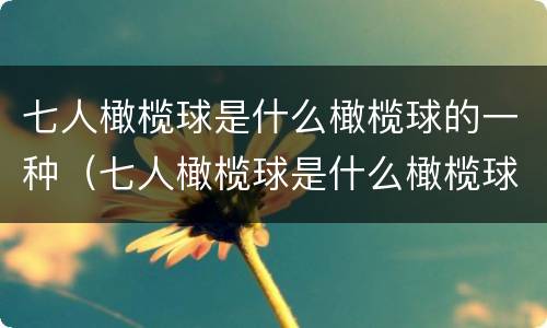 七人橄榄球是什么橄榄球的一种（七人橄榄球是什么橄榄球的一种运动）