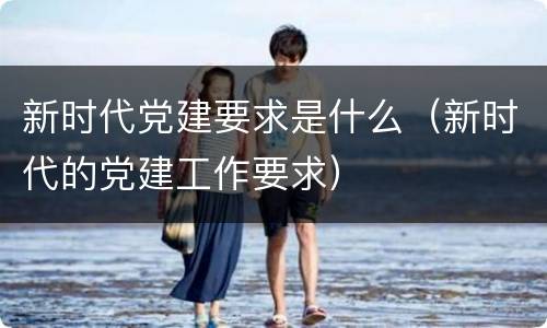 新时代党建要求是什么（新时代的党建工作要求）