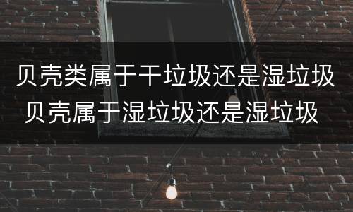 贝壳类属于干垃圾还是湿垃圾 贝壳属于湿垃圾还是湿垃圾