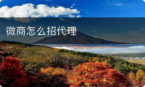 微商怎么招代理