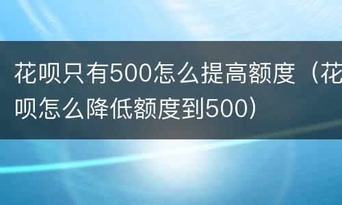 花呗只有500怎么提高额度（花呗怎么降低额度到500）
