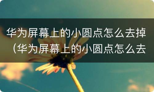 华为屏幕上的小圆点怎么去掉（华为屏幕上的小圆点怎么去掉p30）