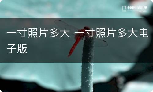一寸照片多大 一寸照片多大电子版