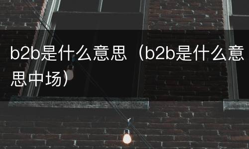 b2b是什么意思（b2b是什么意思中场）