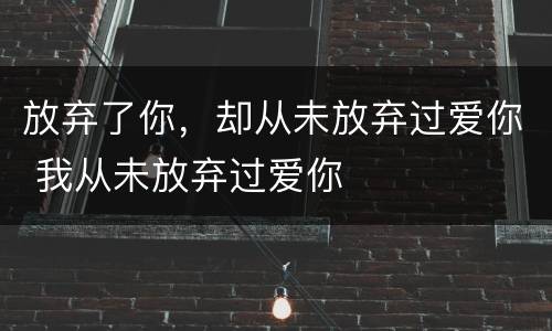 放弃了你，却从未放弃过爱你 我从未放弃过爱你
