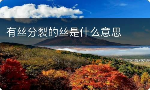有丝分裂的丝是什么意思