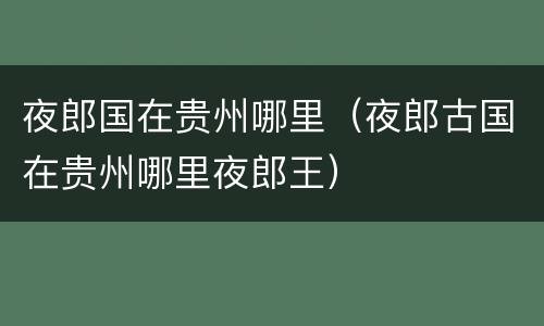 夜郎国在贵州哪里（夜郎古国在贵州哪里夜郎王）