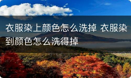 衣服染上颜色怎么洗掉 衣服染到颜色怎么洗得掉