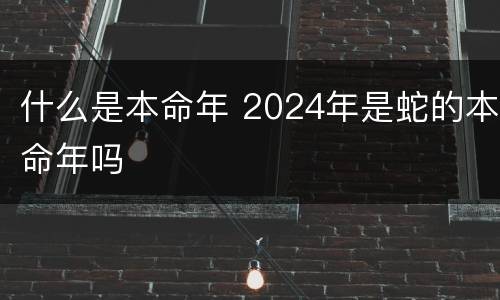 什么是本命年 2024年是蛇的本命年吗