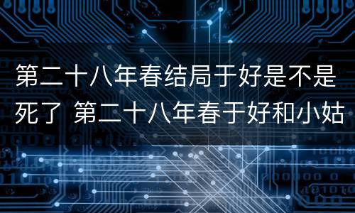 第二十八年春结局于好是不是死了 第二十八年春于好和小姑父是怎么回事