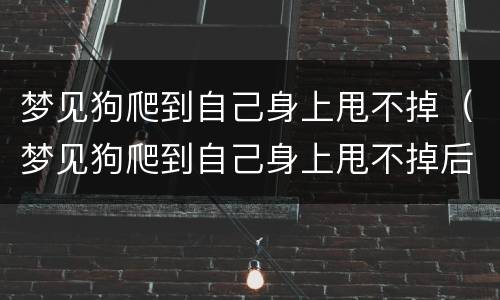 梦见狗爬到自己身上甩不掉（梦见狗爬到自己身上甩不掉后却出现一个小女孩）