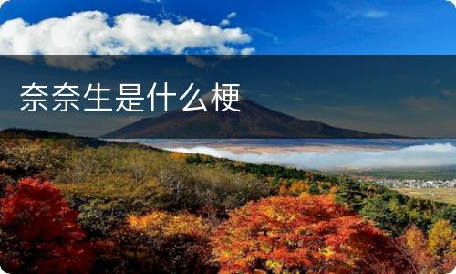 奈奈生是什么梗