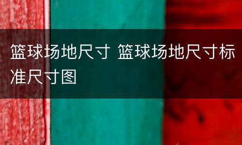 篮球场地尺寸 篮球场地尺寸标准尺寸图