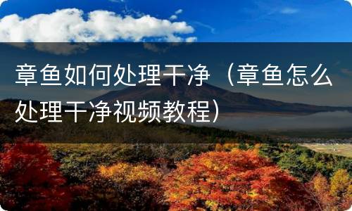 章鱼如何处理干净（章鱼怎么处理干净视频教程）