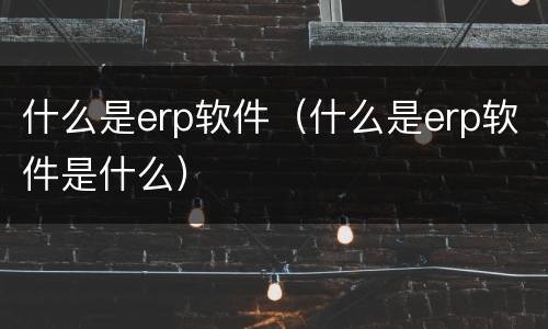 什么是erp软件（什么是erp软件是什么）