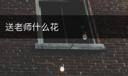 送老师什么花